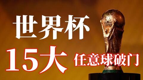 弗格不仅拥