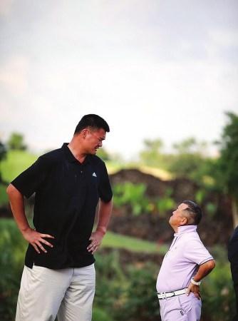 亮相